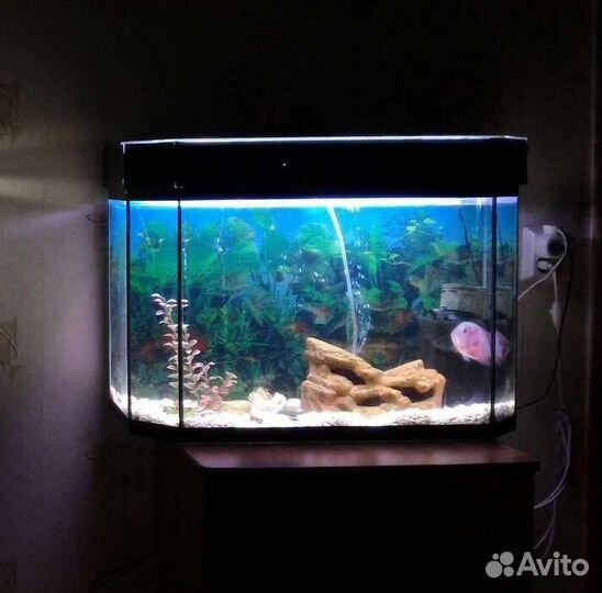 Аквариум 100 литров, с крышкой