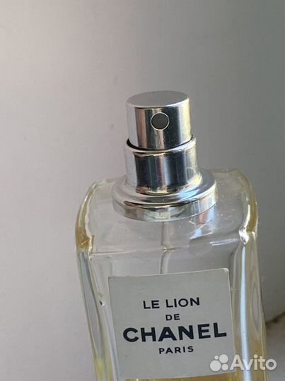 Chanel le lion