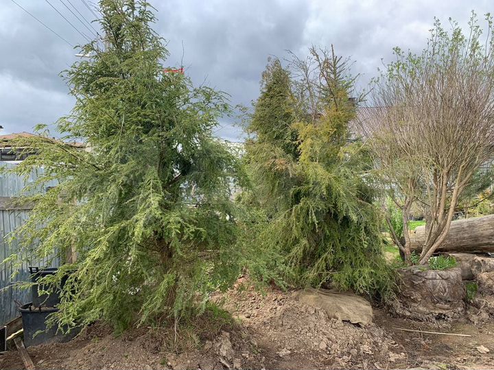 Участок 16 сот. (СНТ, ДНП)