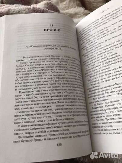 Дэн Симмонс, Террор