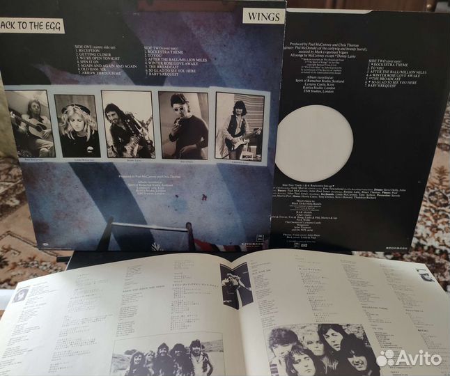 Виниловые пластинки