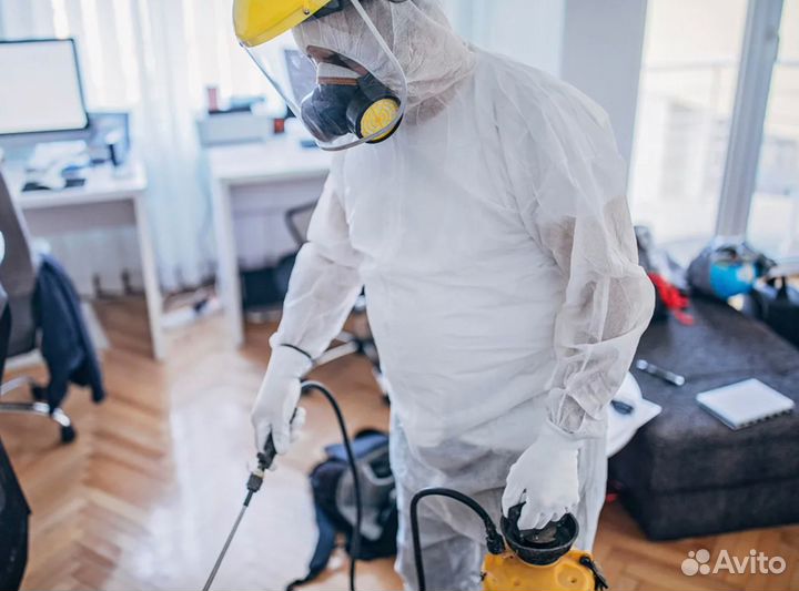 Обработка от тараканов, клопов, комаров крыс мышей