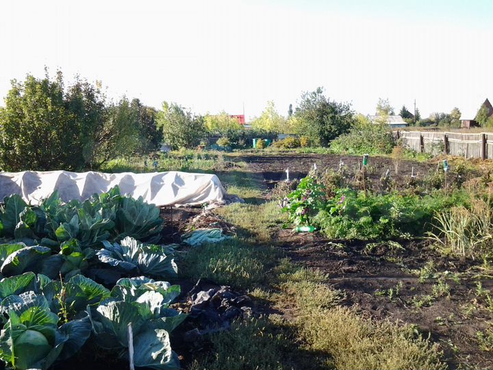 Дача 20 м² на участке 10 сот.