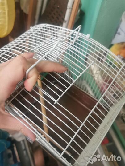 Клетка для птиц