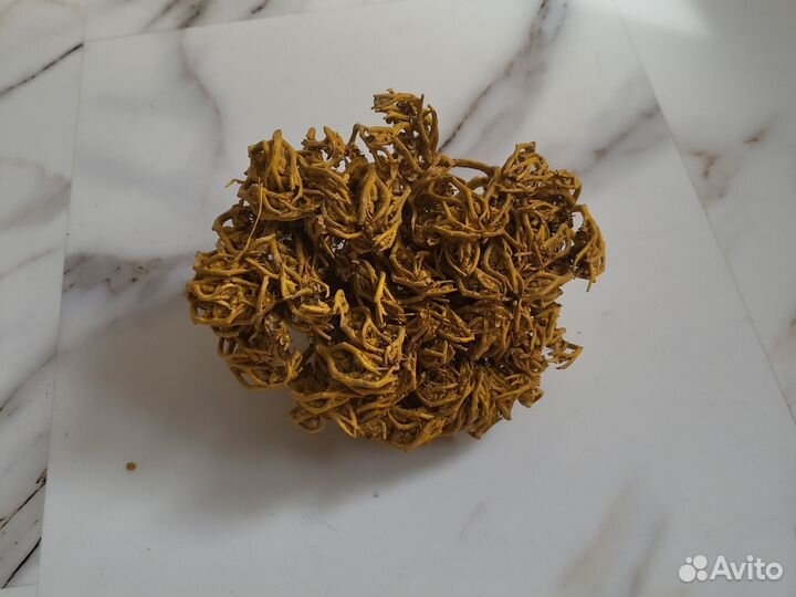 Египетская роза