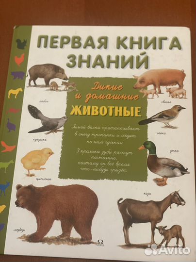 Первая книга знаний. Дикии и Домашние животные