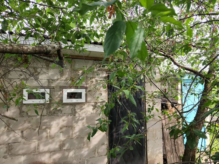 Дача 50 м² на участке 10 сот.