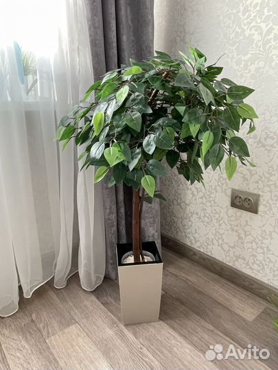 Искусственные растения