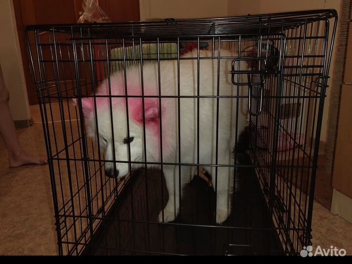 Продам клетку для животных