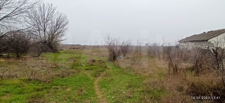 Участок 25 сот. (ИЖС)