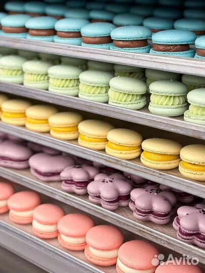 Обучающий курс по приготовлению макаронс