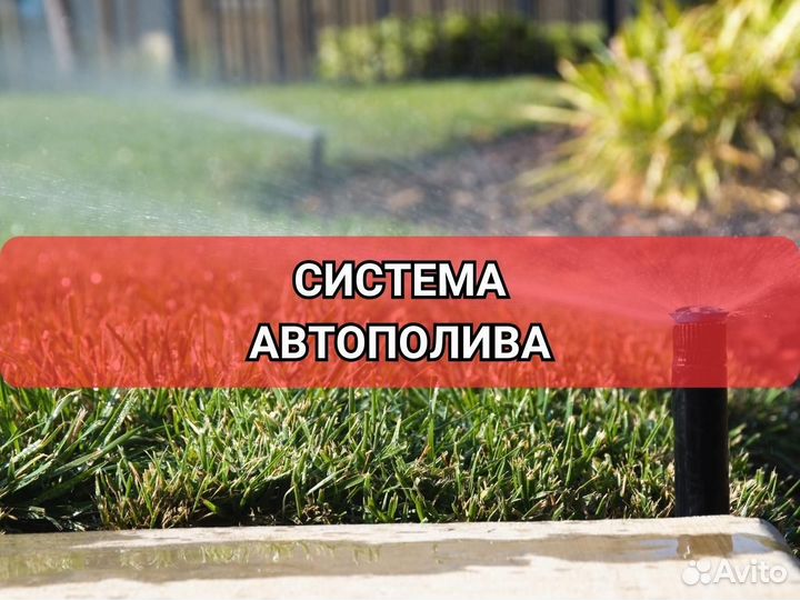 Продажа газона элитный