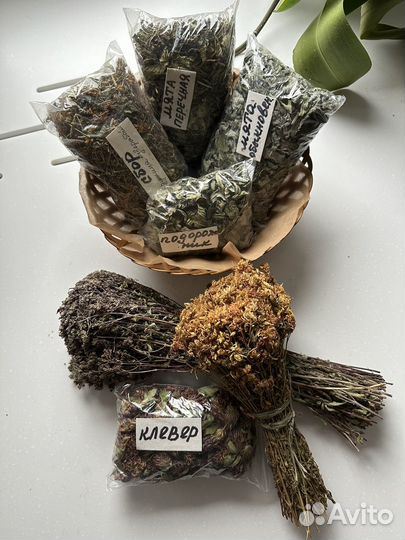 Лечебные травы и плоды