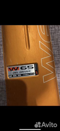 Горные лыжи