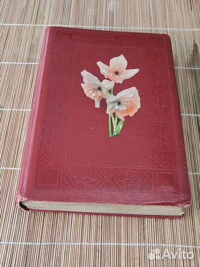 Фотоальбом.Фотографии.Цветы