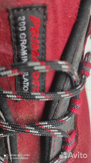 Lowa mountain expert gtx