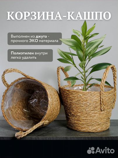 Кашпо горшок для цветов