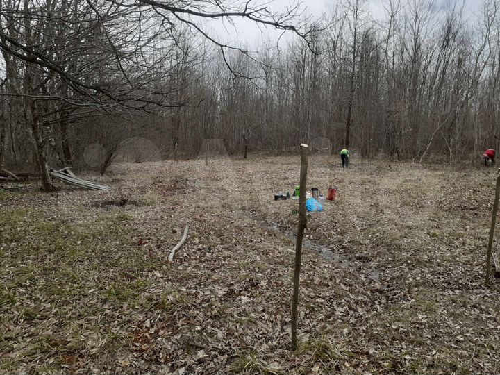 Участок 4,5 сот. (СНТ, ДНП)