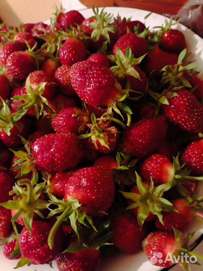 Клубника свежая