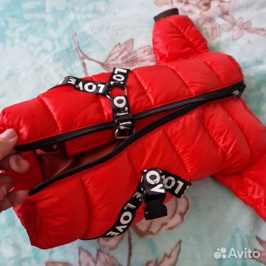 Зимний комбинезон и дождевик для маленькой собачки