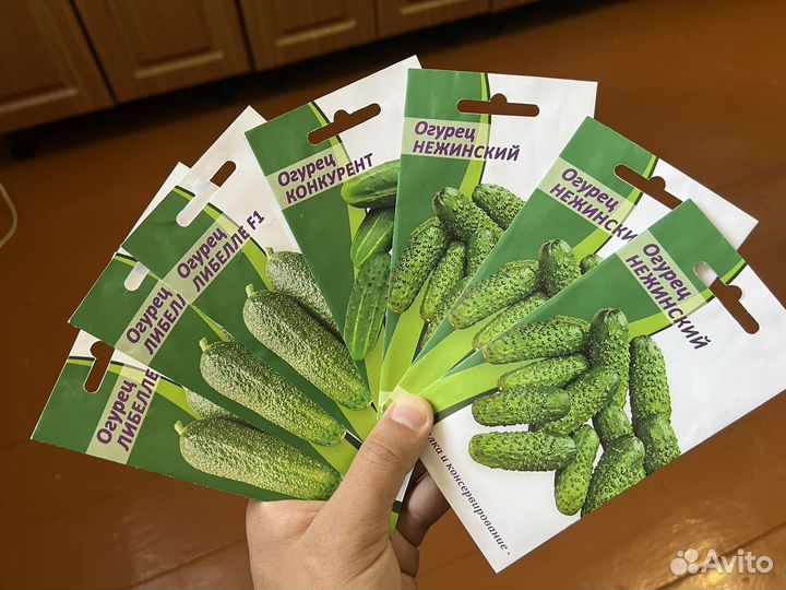 Семена огурцов