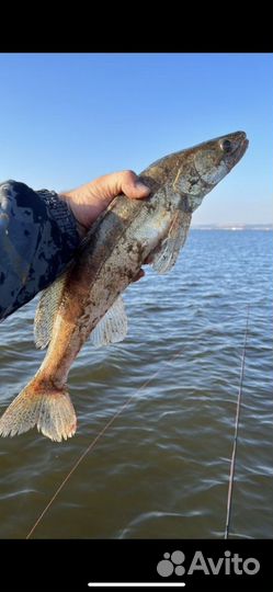 Лодка с мотором suzuki 4лс