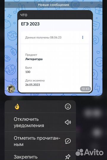 Репетитор по русскому языку и литературе