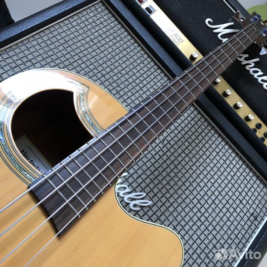 Акустическая бас гитара Warwick Alien Deluxe