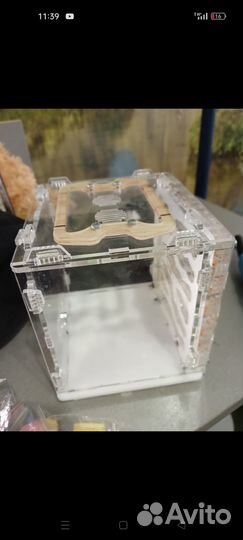 Формикарий для муравьев