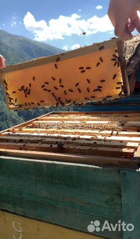 Натуральный горный мёд