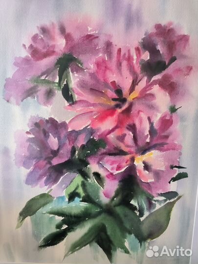Картина пионы акварелью