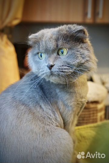 Лушу били, а потом выкинули