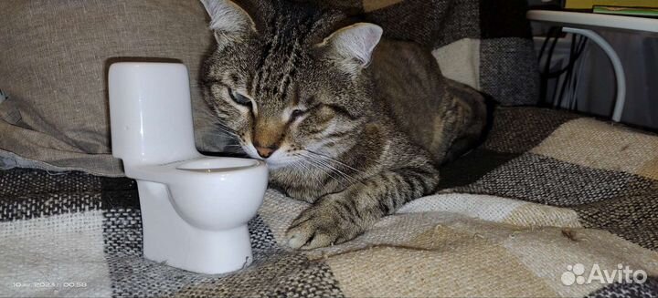 Унитаз миниатюра