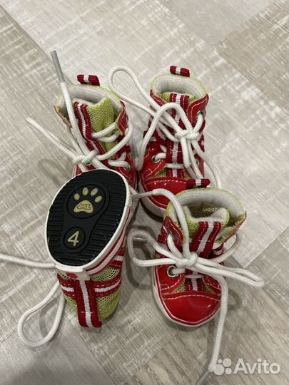 Одежда для средних собак