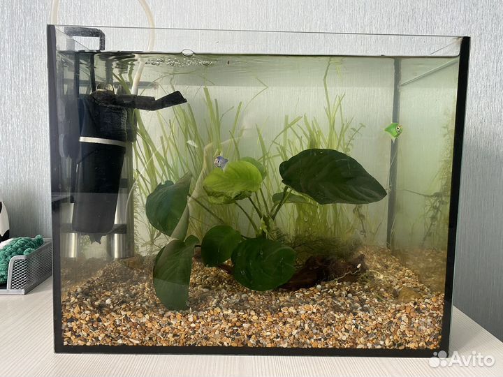 Аквариум
