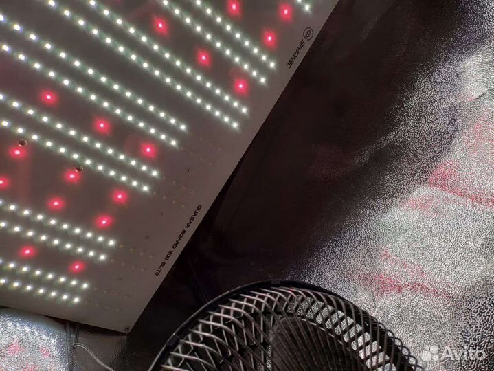 Фитолампы led Siyanie Quasar Board 200-2 шт