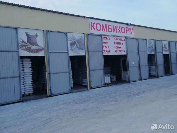 Просо