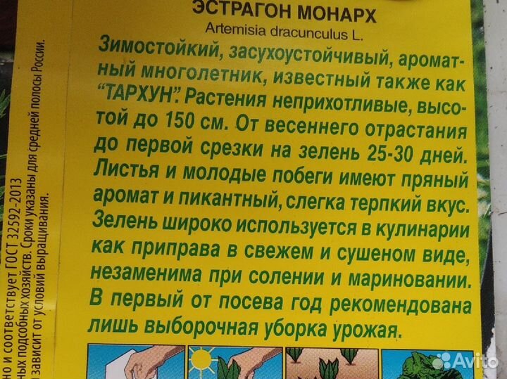 Эстрагон монарх