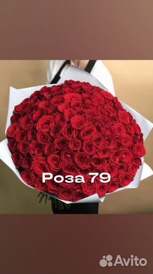 Розы. Доставка. Букет