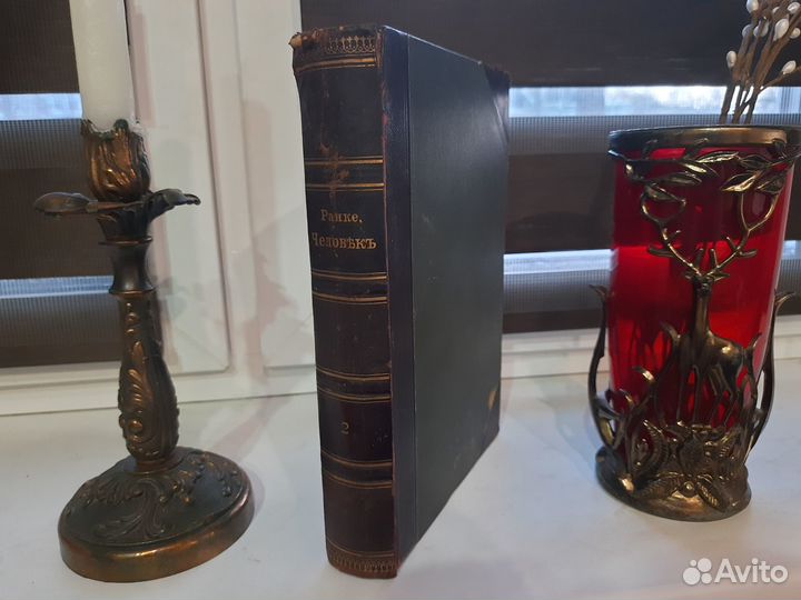 Старинная книга. Ранке И. Человек. Том 2. 1902 г