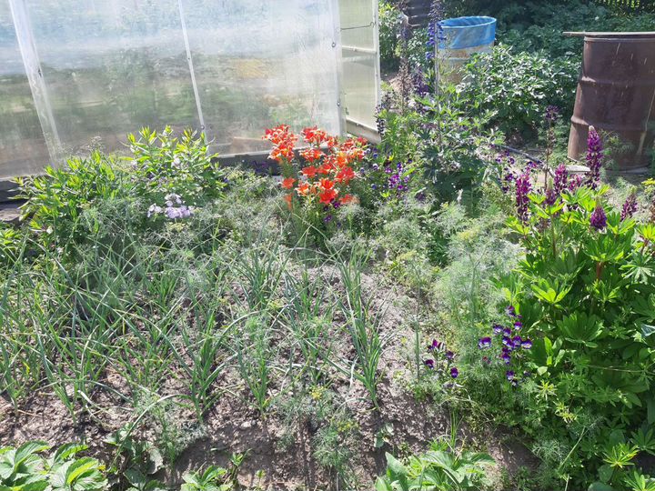 Дача 20 м² на участке 10 сот.