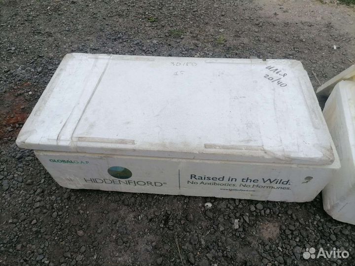 Коробка пенопластовая