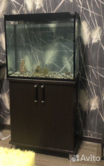 Аквариум