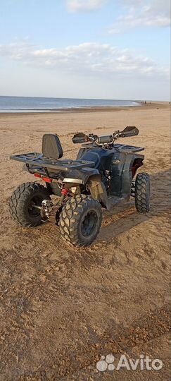 Avantis hanter 200 new lux