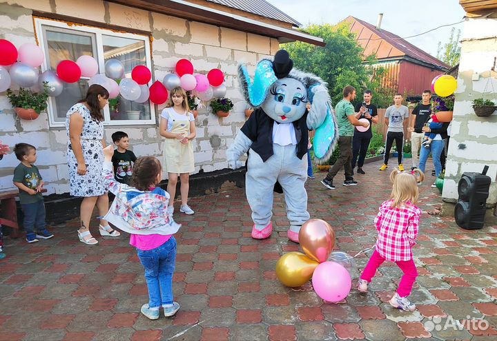 Поздравление от зайца, кинг-конга, мишки