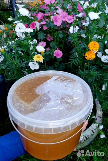 Продам мёд