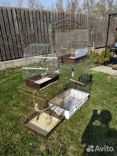 Клетки средние и большие