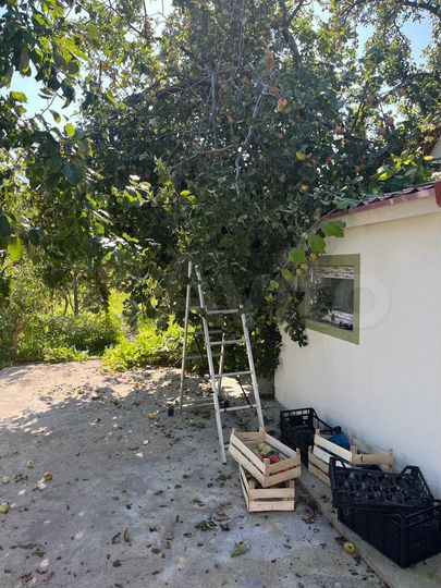 Дача 23 м² на участке 6 сот.