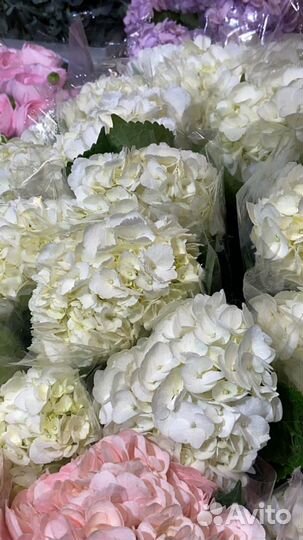 Гортензии, Букет из гортензии, 7 9 15 11