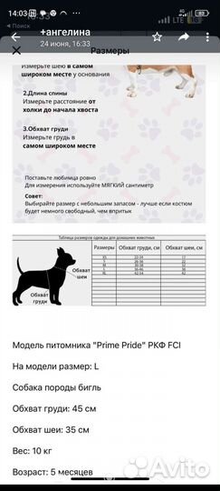 Шлейка- жилетка